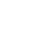 ANIMA Logo