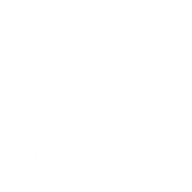 ANIMA Logo